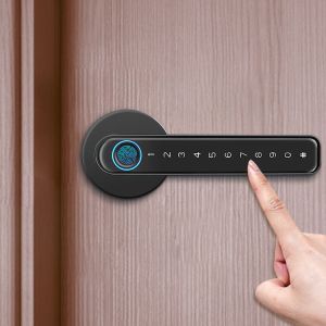 TUYA Bluetooth Smart Handle Door Lock Anti Corrosion Fingerprint Handle Lock