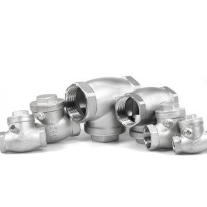 Horizontal Swing Check Valve Stainless Steel Standard