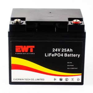 24V Lifeo4 Rechargeable Battery