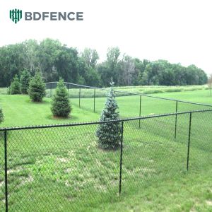Trash Area Odor Control Plastic Coated Chain Link Fence