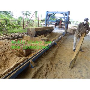 Horiozntal Circular Angle CNC Sawmill For Sawing Logs,double blades saw