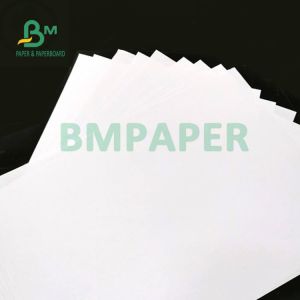 C1S Coated FBB SBS Paper Board 350gsm For Pharmaceutical Packing 37" X 25"