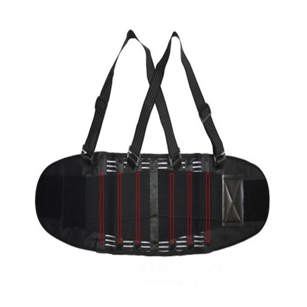 Fish Ribbon Strap Waist Back Support Belt With Six Or Eight Correctional PP Strips