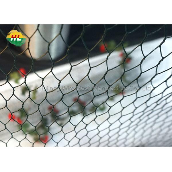 Quality 13.7x236 Inch Galvanised Chicken Wire Mesh 19 Gauge 22 Gauge wholesale