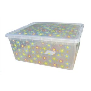 Eco-Friendly Disposable Plastic Containers , Practical Plastic Shoe Storage