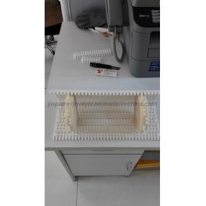 1000 Series Plastic Modular Belt with 25.4mm Pitch Sale