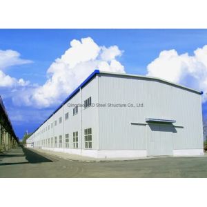 Prefabricated Light Steel Frame Buildings Food Processing Workshop Construction