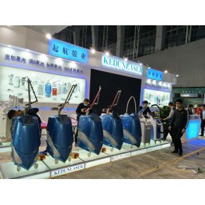 China Toppest 600ps Unique CE Approved Tatoo Removal Laser Pico Second Laser