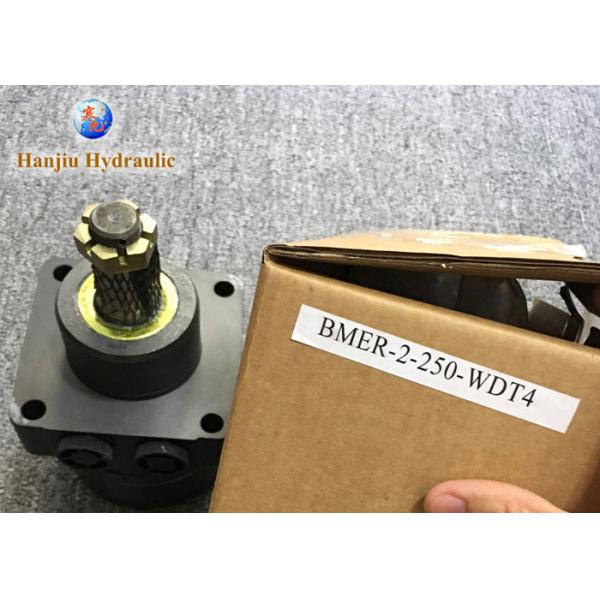 Quality Replacement Low Speed High Torque Hydraulic Motor BMER-2-250-WDT4 Parker TG0250 wholesale