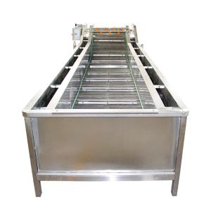 China Customized 500kg 1500kg/H Fruit And Vegetable Washing Machine Jam cleaner on sale