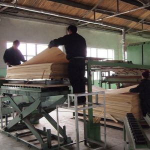 Recomposed White Ash Wood Veneer Sheets WA-X206 Quarter Cut For Fancy Plywood