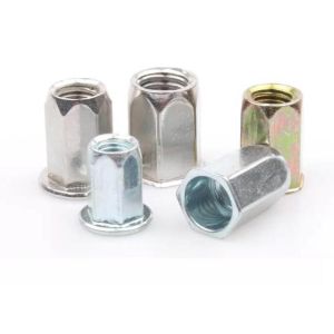 M6 M8 Stainless Steel Hex Hexagon Flat Head Blind Rivet Nut Polishing Plain