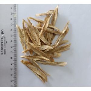 Dehydrated Burdock Strips 2019 new crop
