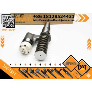 China Fuel Injector 250-1311 2501311 10R-1279 10R1279 250-1302 250-1304 250-1303 250-1306 250-1308 250-1312 on sale