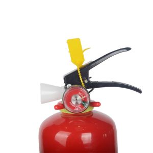 SAFEWAY 2kg Dry Powder Fire Extinguisher Convex Ring Portable