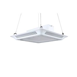 Anti Exclusion Two Years Warranty 240w LED Canopy Lights 5700K