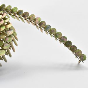 Cheap .120''*1-3/4'' Smooth Shank Diamond Point Electric Galvanized Roofing Coil Nails for sale