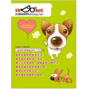 promotion leaflet printing, leaflets printing company, cheap printing company,