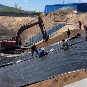 Online Technical Support HDPE Geomembrane for Man-made Lakes ASTM Standard in