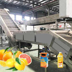 Professional Tangerine Citrus Processing Equipment 5T/H ISO Certificate