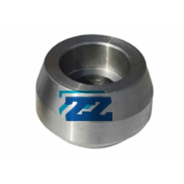 Quality ASTM A182 F304 OLET Pipe Fittings Galvanized Surface Customized Dimensions wholesale