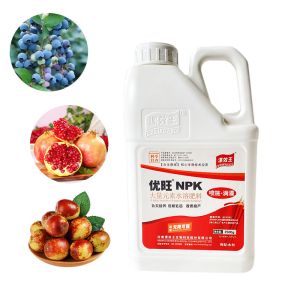 Slow Release NPK Water Soluble Fertilizer Plant Growth Regulation