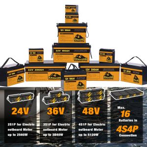 Deep Cycle Lifepo4 Lithium Ion Battery