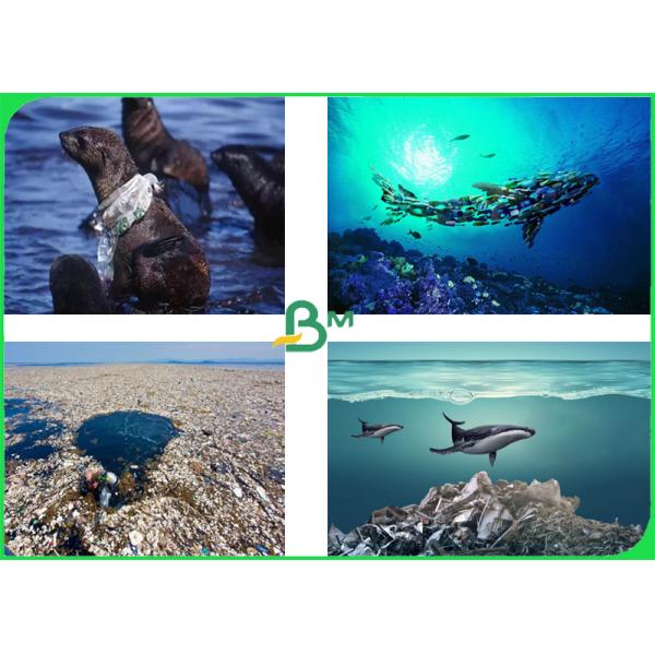 Straw bottom paper 60gsm 80gsm 120gsm wood pulp recycle for drink straw 02 Straw bottom paper 60gsm 80gsm 120gsm wood pulp recycle for drink straw