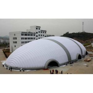 0.6mm High Strength, High Density Advertising Inflatables Shape Model Airtight