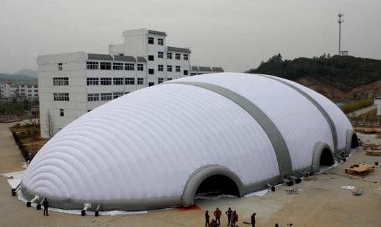 0.6mm High Strength, High Density Advertising Inflatables Shape Model Airtight