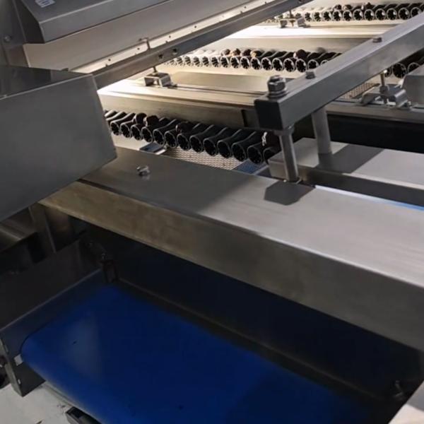 China High-capacity Dates Sorting Machine With Industrial Camera, 8 lanes+10 outlets, Advanced Deep-learning, 2.6 Tons per hour on sale China High-capacity Dates Sorting Machine With Industrial Camera, 8 lanes+10 outlets, Advanced Deep-learning, 2.6 Tons per hour on sale