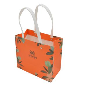 CMYK Pantone Custom Paper Shopping Bags 200g With Handles