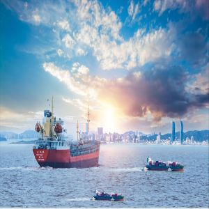 International Sea Freight Forwarding DDP From China To New Zealand