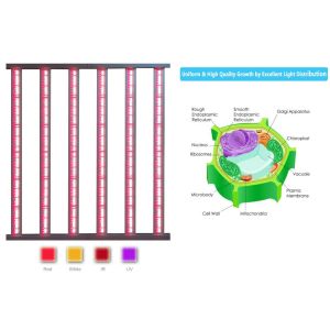 Foldable 720w IP65 Vertical Farming Lighting / Grow Light For Starting Seeds