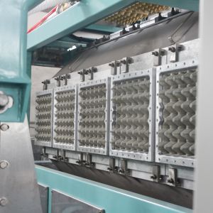 automatic cheap and fine egg tray making machine