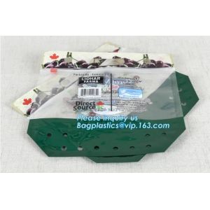 Stand Up Roasted Chicken Packaging Bags With Zip Top hot roast, rotisserie