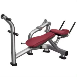 Adjustable Bench Commercial Gym Equipment for Back Extension and ABS Machine Pin