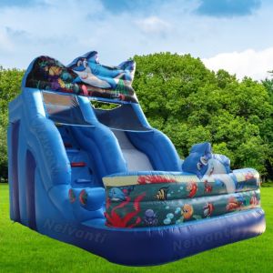 Hot Style Inflatable Water Slide with Custom Logo Printed and Max Capacity 100