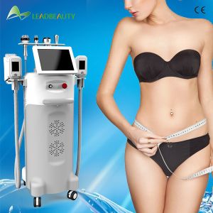 China Cryolipolysis Slim cryotherapy slimming beauty machine Freeze Fat dissolving machine on sale