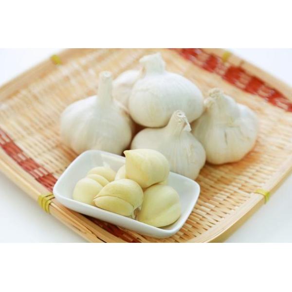 FAMI-QS Certified Garlicin Poultry Feed Additives For Enhanced Animal Performance