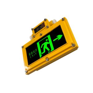 Automatic Lighting Explosion Proof Emergency Light 0.3S Emergency Start