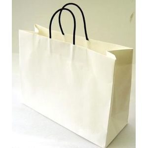 Embossed Printing Paper Bag 250gsm Printed Paper Carrier Bags