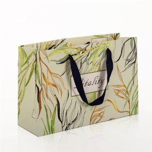 Cheap Promotion Use Printed Paper Bags With Personalization Logo OEM Service for sale