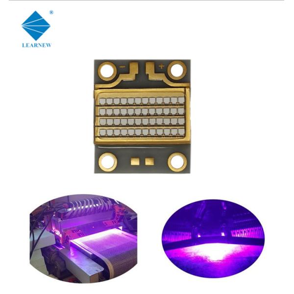 Quality CE RoHS High Power COB LED 365m 385nm UVA LED Chips wholesale