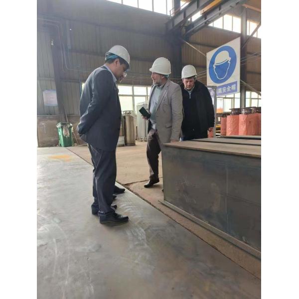 MATE LH European Double Girder Overhead Crane 0.84-8.4M/Min Lifting Speed