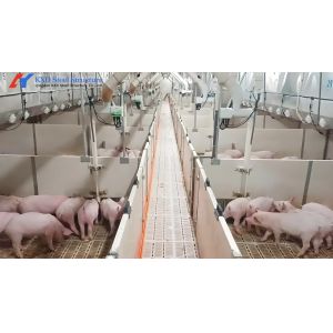 Multifunctional Pig Farrowing Crates Galvanized Pig Farrowing Pen