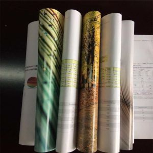 Pulping Type Chemical-Mechanical Pulp C2s 80gsm-250gsm Art Paper matt in ream