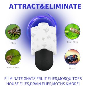 JZ New Arrival Indoor UV Light Human Harless Plug in Sticky Bug Zapper Mosquito