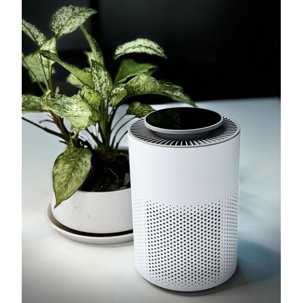 Quality HEPA-Equipped Plasma Air Sterilizer with Touch Controls for Eliminating Fireworks Powder Particles wholesale