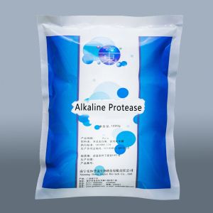 1200000U/G 2400GDU Bromelain Powder Protease Soluble In Water